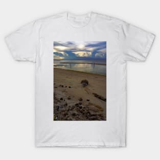 Siquijor Island Philippines T-Shirt